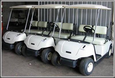 Latest Model Golf Cars