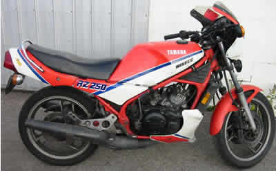Wrecking rz250